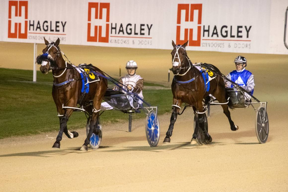 WILLOW BAY & COSMIC MAJOR return from their Group1 Sires Stakes assignment