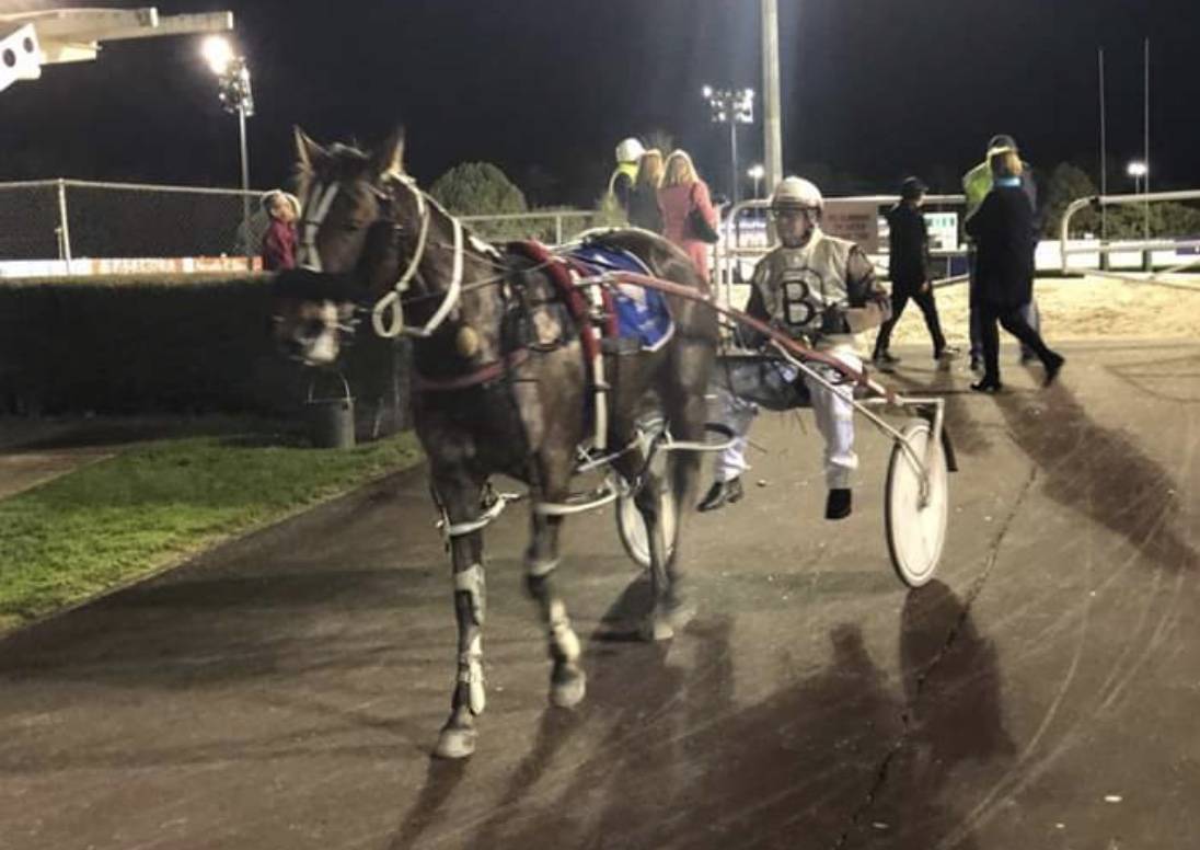 Winners and Placegetters this week