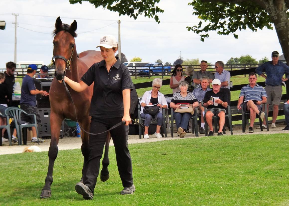 Royal blood takes a trip to Rangiora