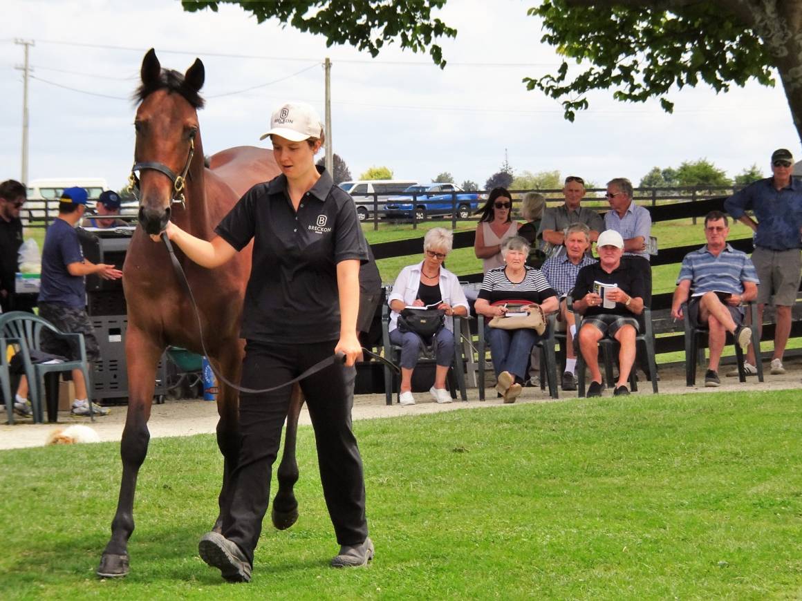 Royal blood takes a trip to Rangiora