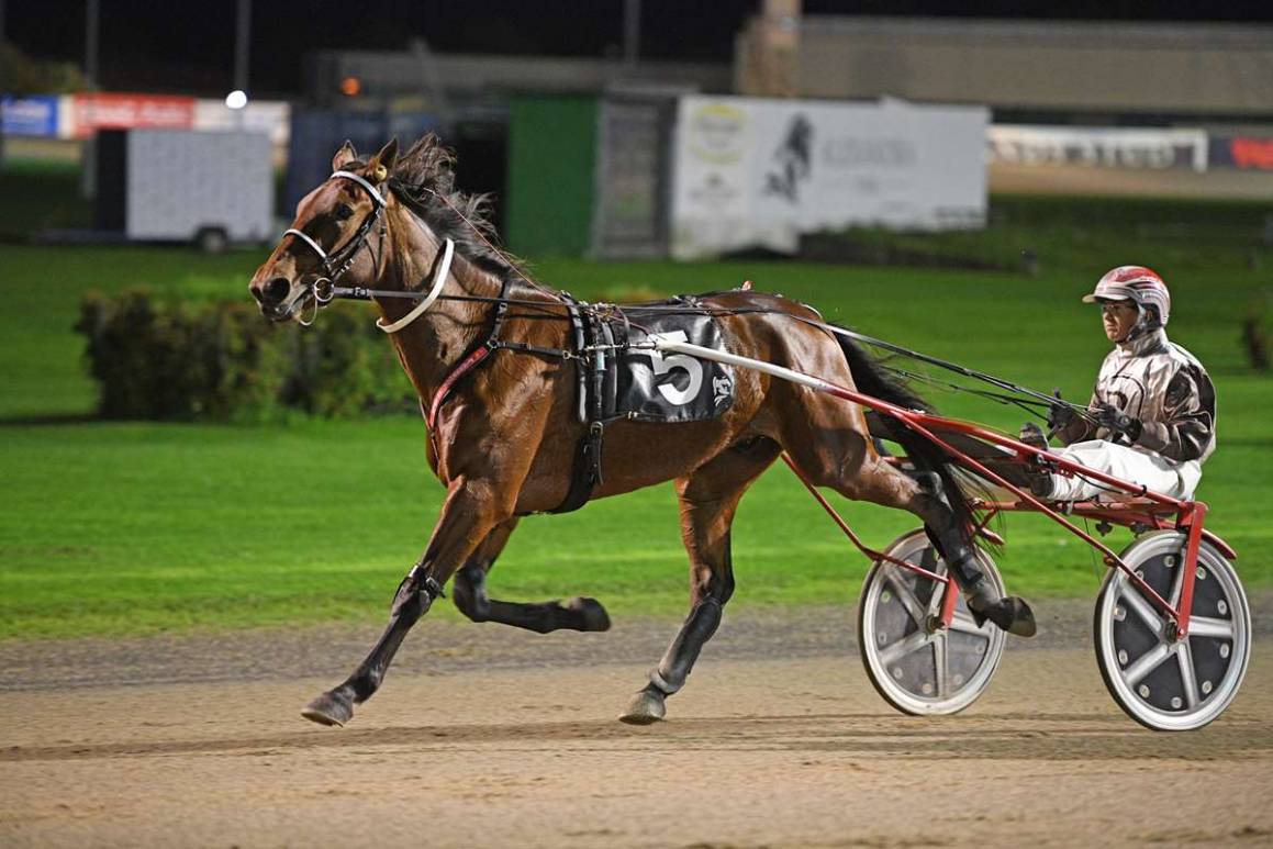 Breckon-Bred Power on Display at Alexandra Park