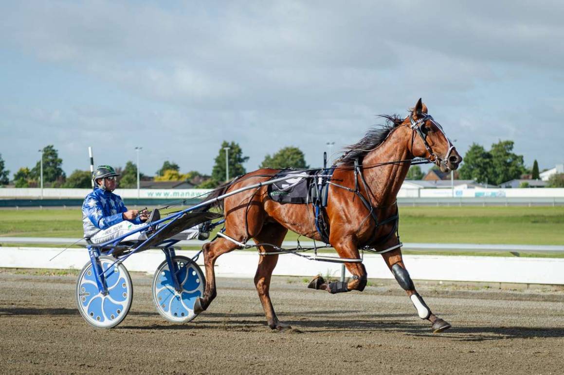 Crippa kicks a goal at Albion Park