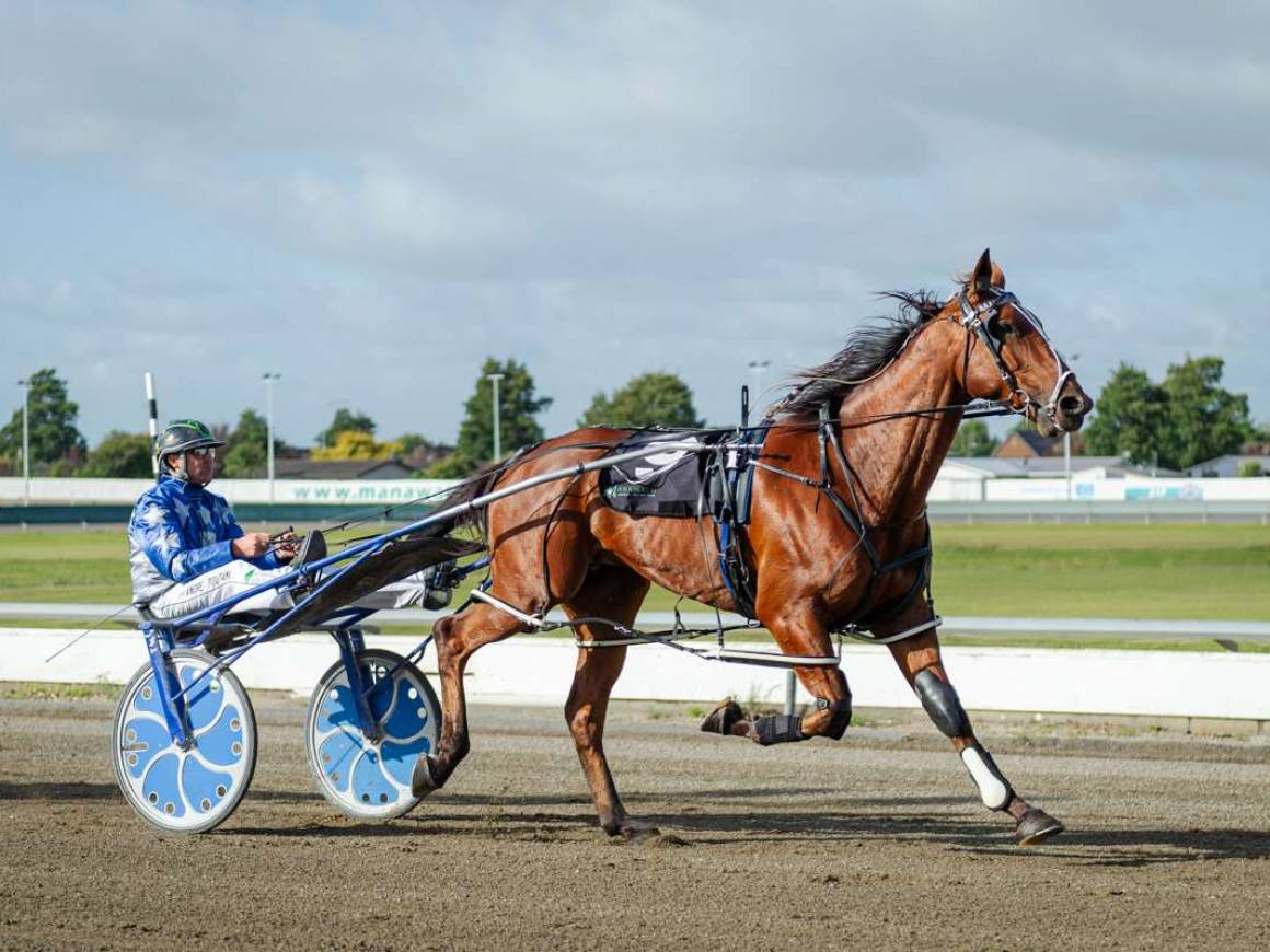 Crippa kicks a goal at Albion Park