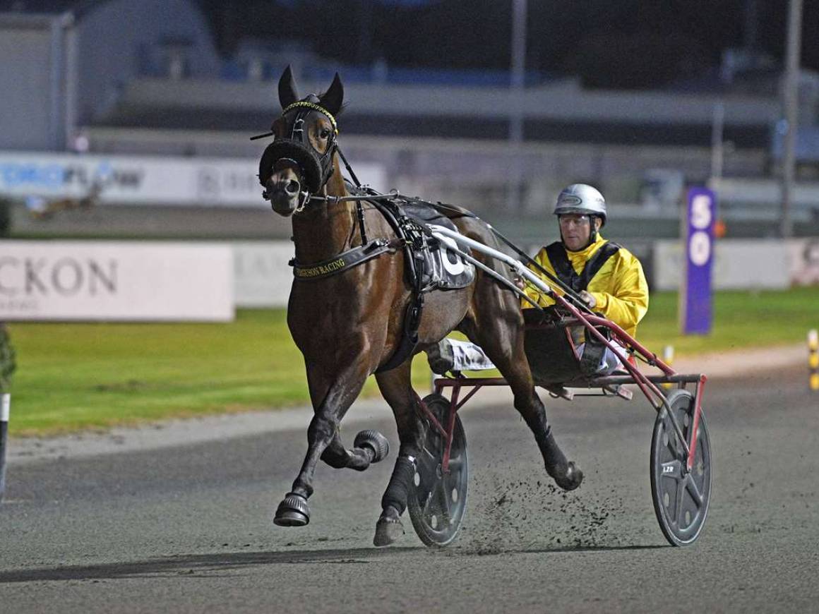 Breckon Farms: Winners in both hemispheres