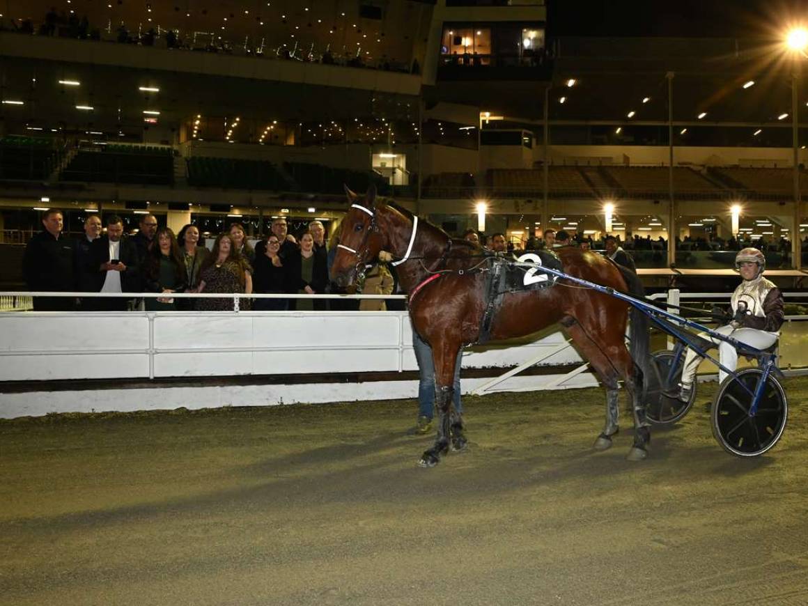NZ Trotting Double