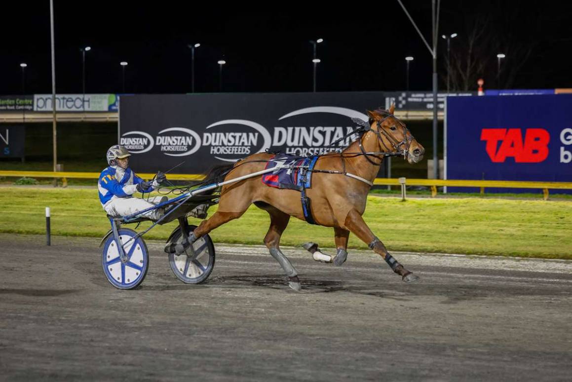 Breckon breeds winners in three countries