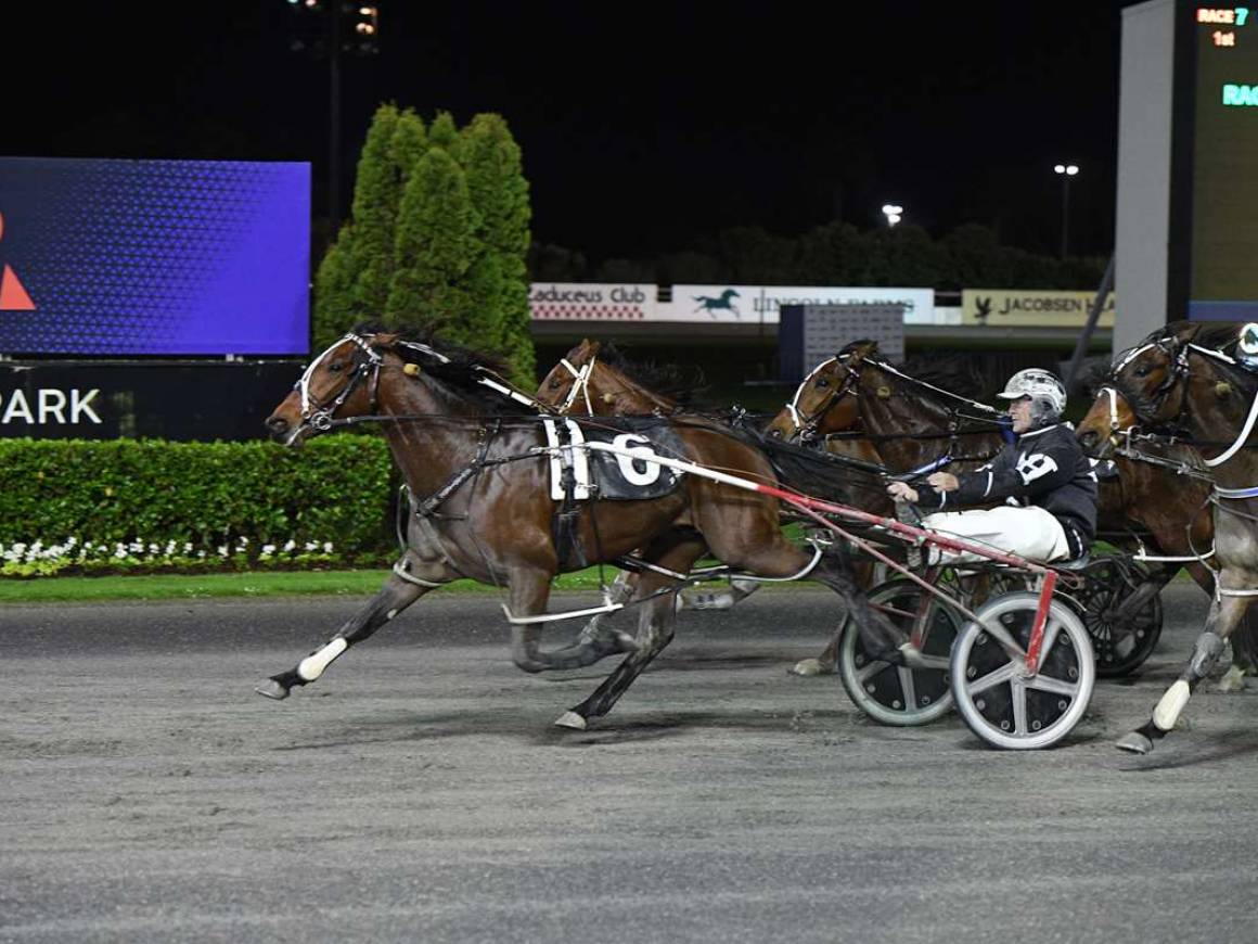 Sires’ Stakes success