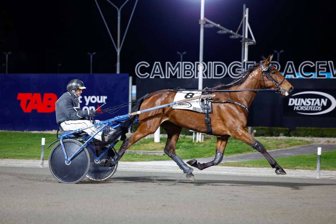 A Trotting Double for Breckon Farms