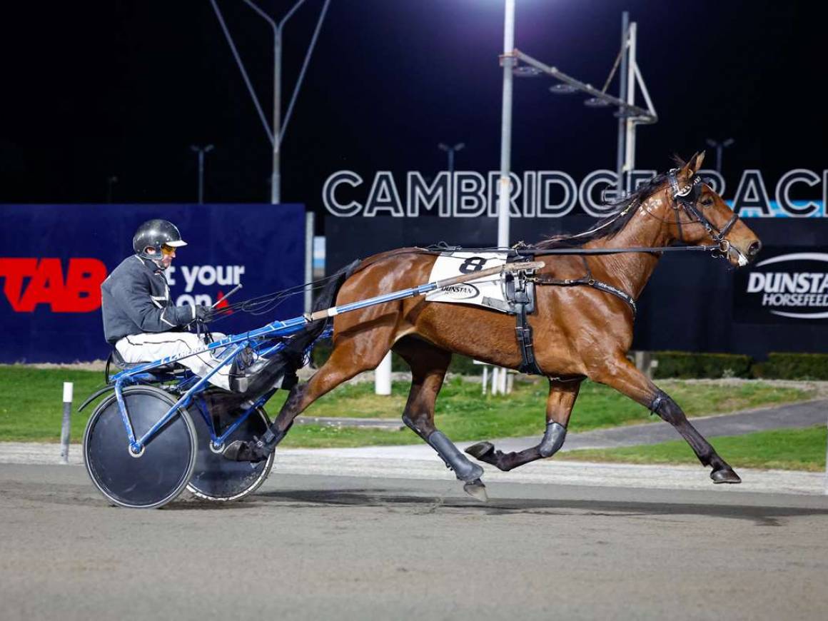 A Trotting Double for Breckon Farms