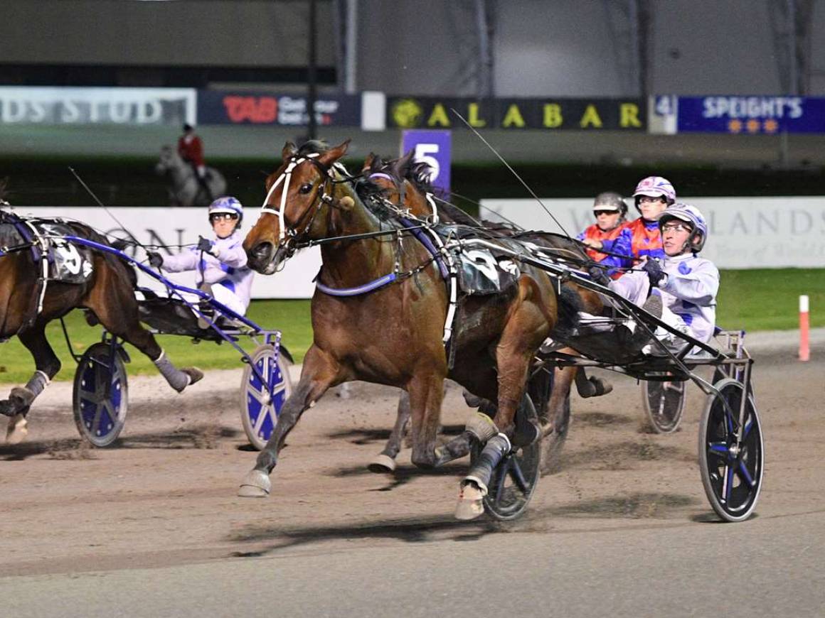 Cousins win on busy weekend