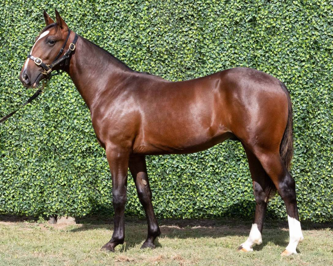 Imperial win at Hobart