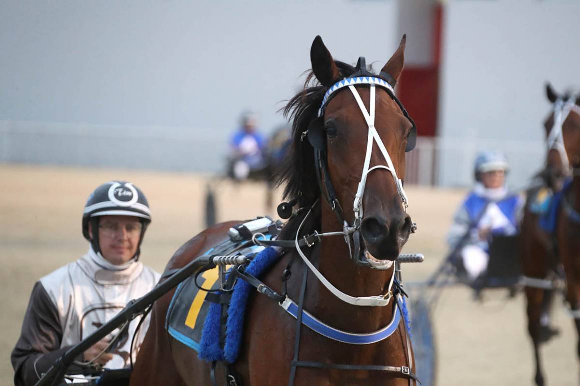 A Bettor You (OnlyForYou) & Tim at Addington