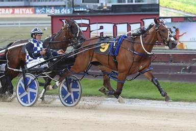 February Race Track Performances