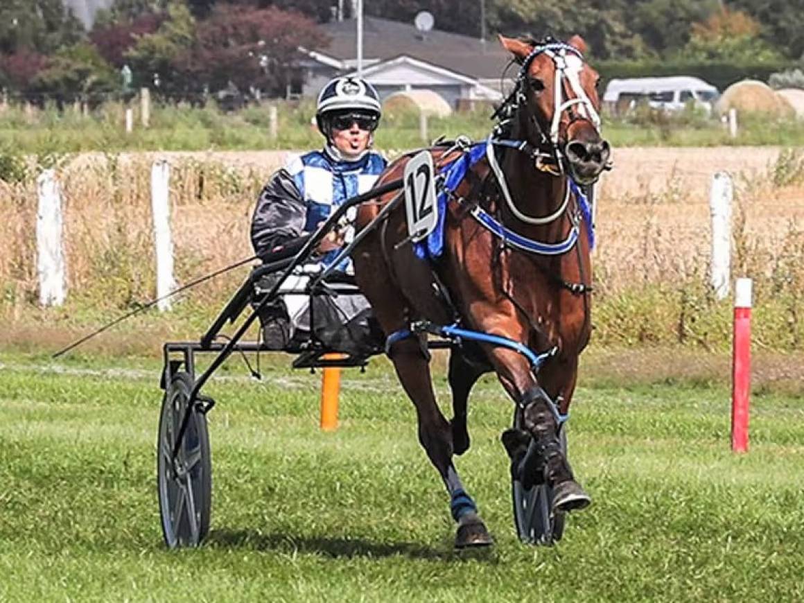 March Race Track Performances