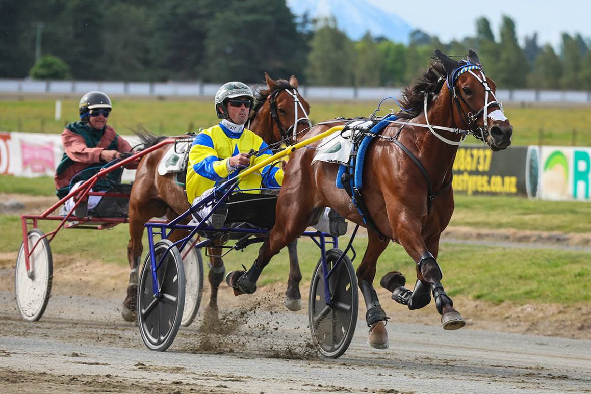 November Race Track Performances