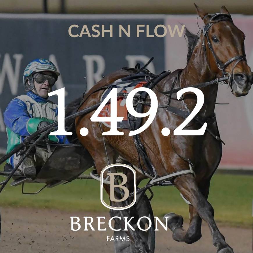 Breckon Bred CASH N FLOW burned up at the track at Menangle