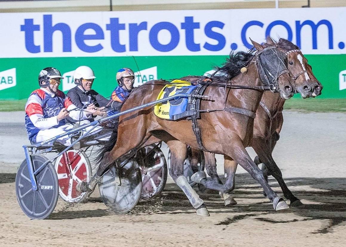 Great Southern Star & Vic Derby Night