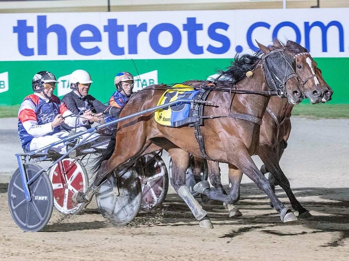 Great Southern Star & Vic Derby Night