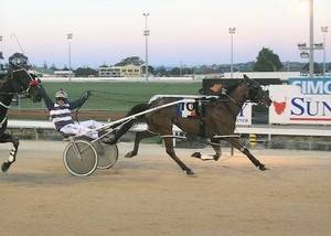 Grand Old Warhorse