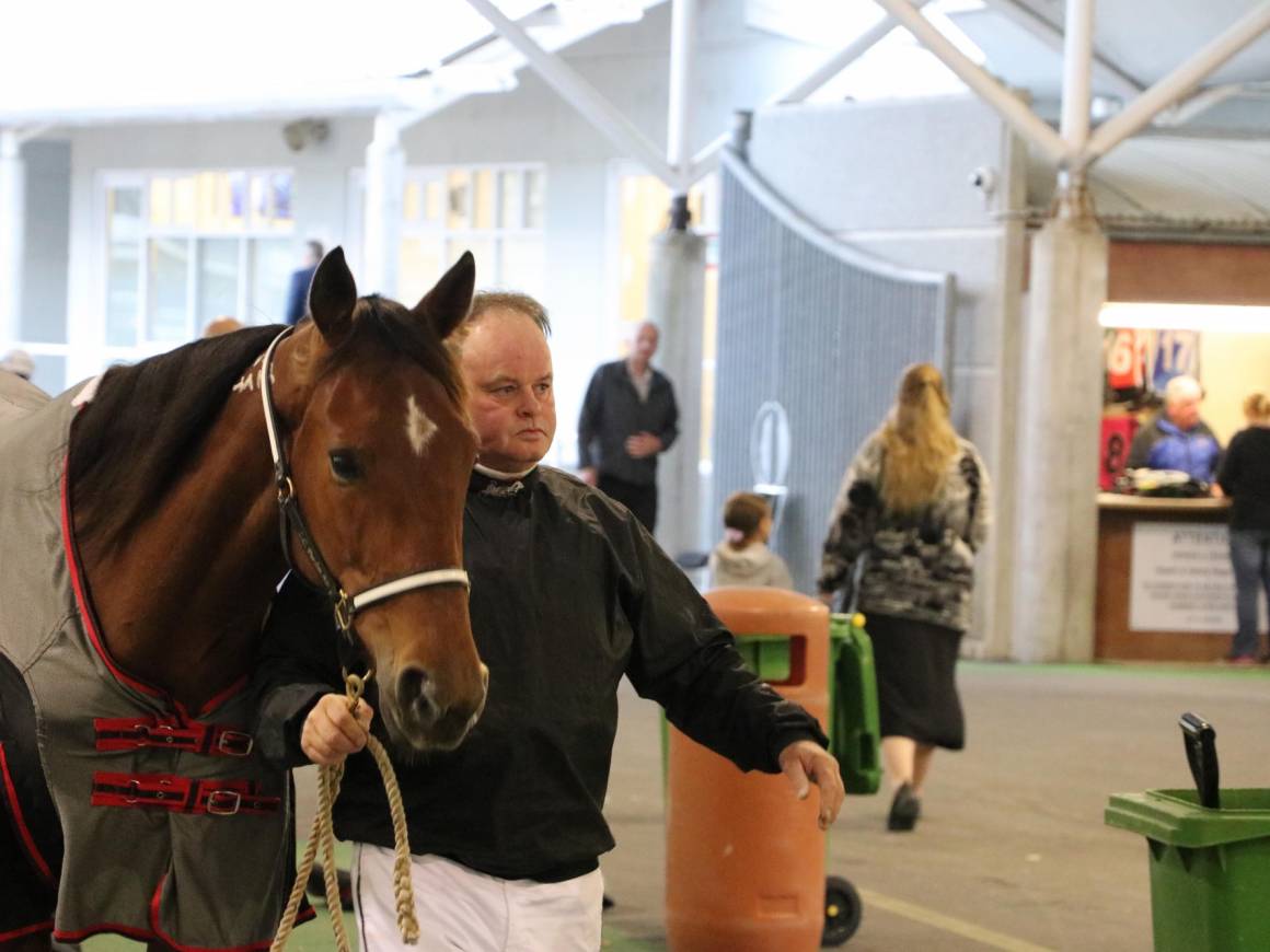 New Zealand's biggest raceday has dawned!