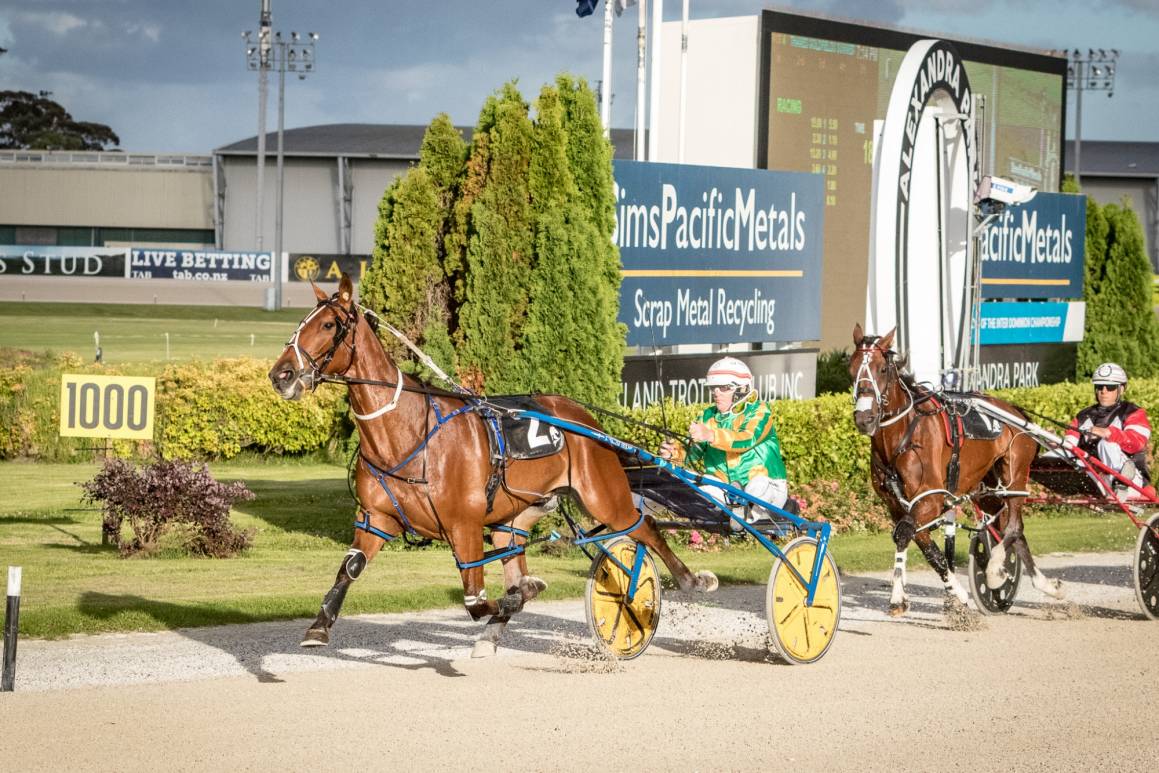 Hot and Treacherous, winner of the Group3 Thames Goldfields Summer Cup