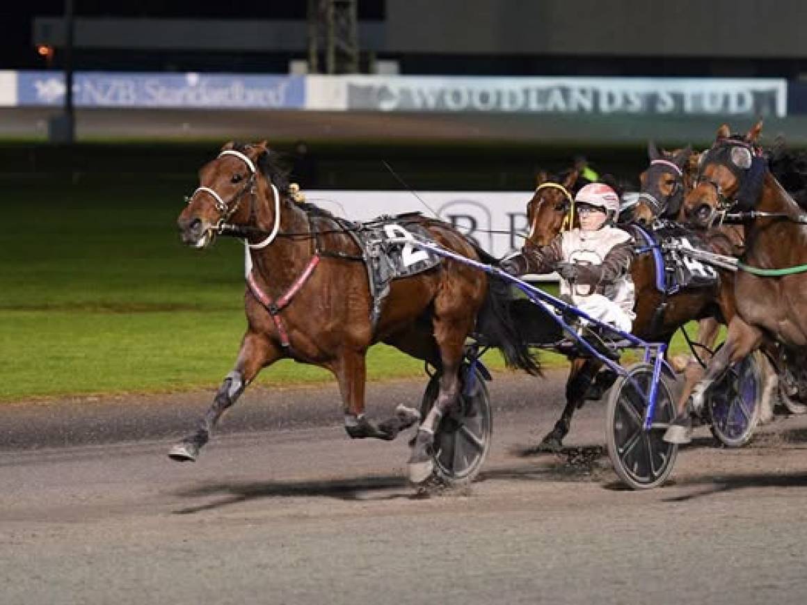 August Race Track Performances