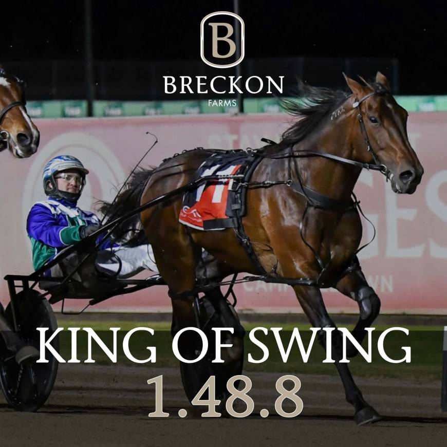 KING OF SWING - 1.48.8 @ Menangle