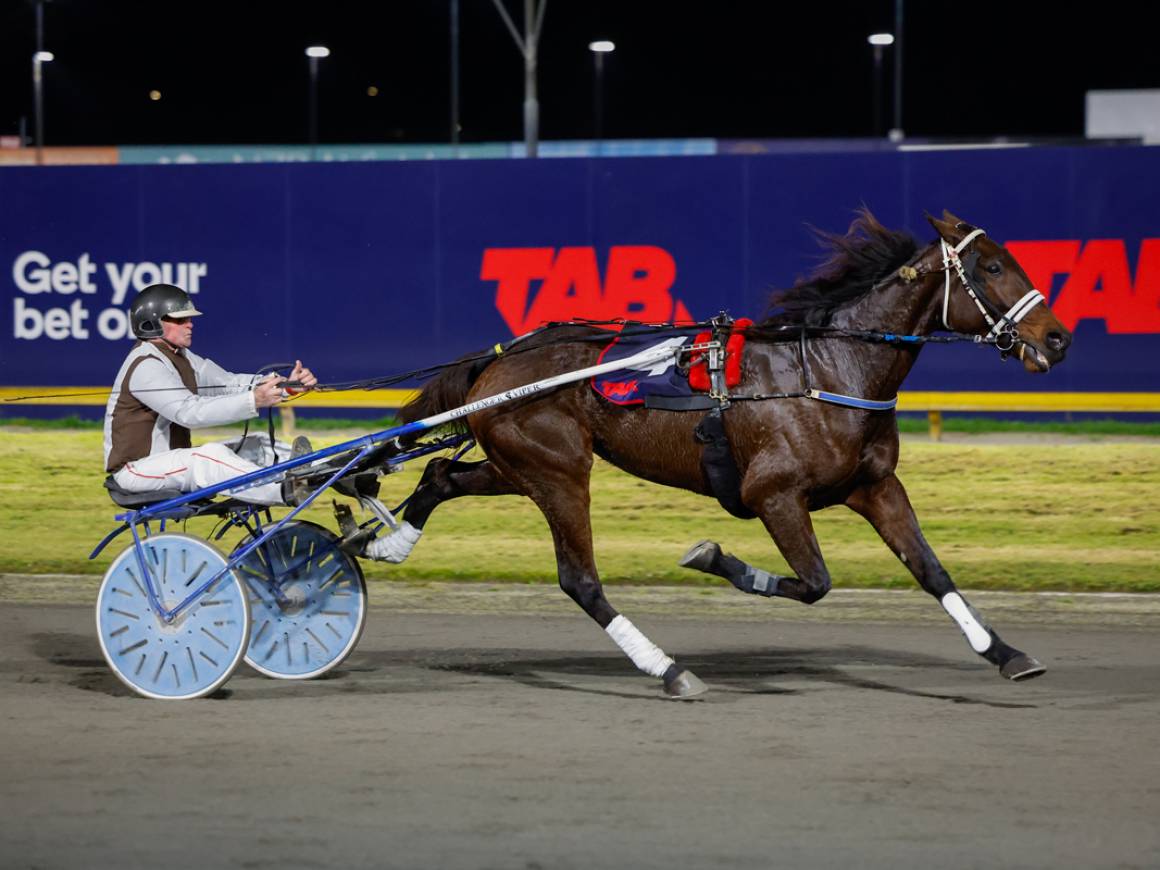Cambridge trotting double for Breckon Farms