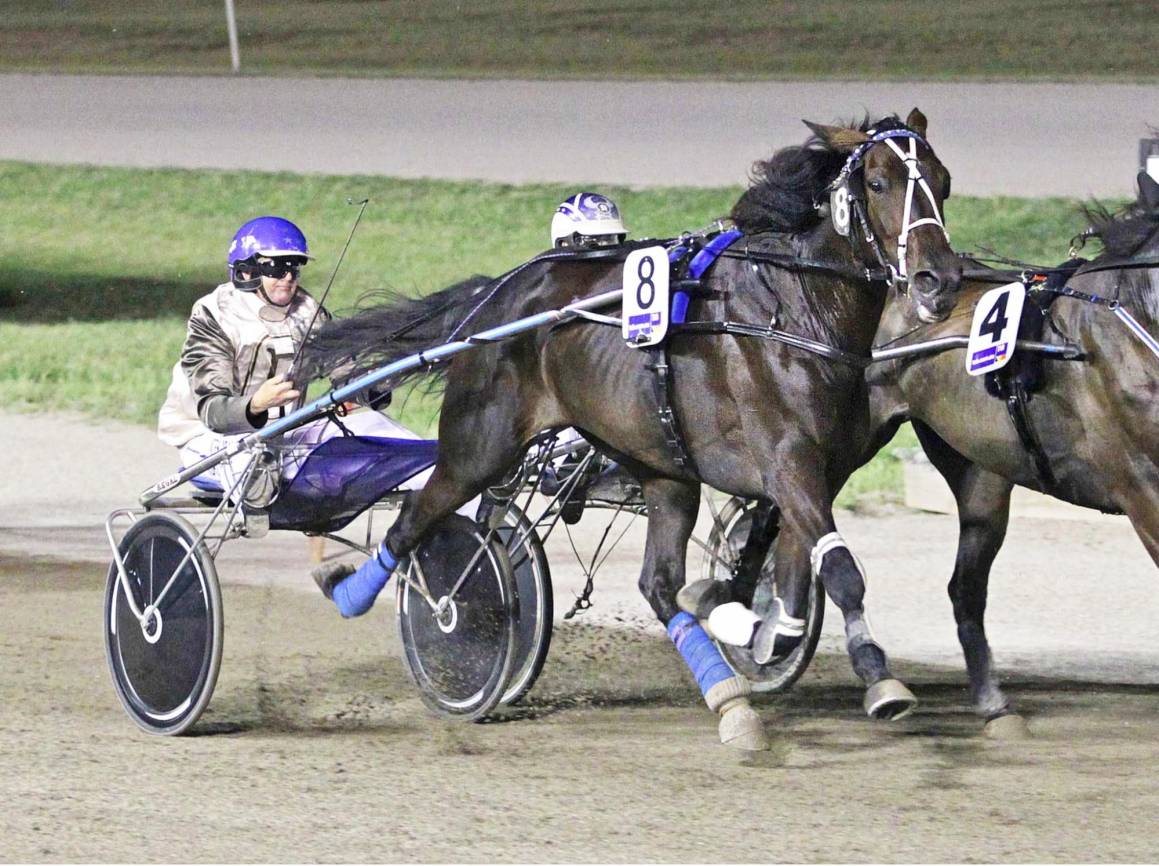 Mark Purdon and I Can Doosit in the 2012 Inter Dominion Final