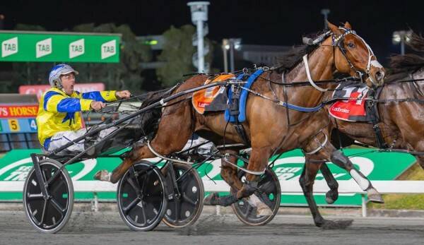 August Race Track Performances