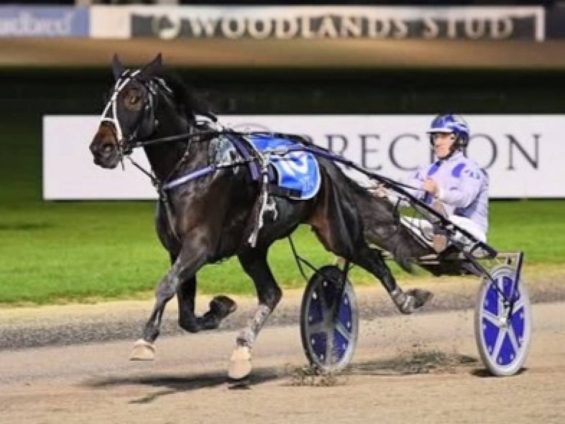 February Race Track Performances