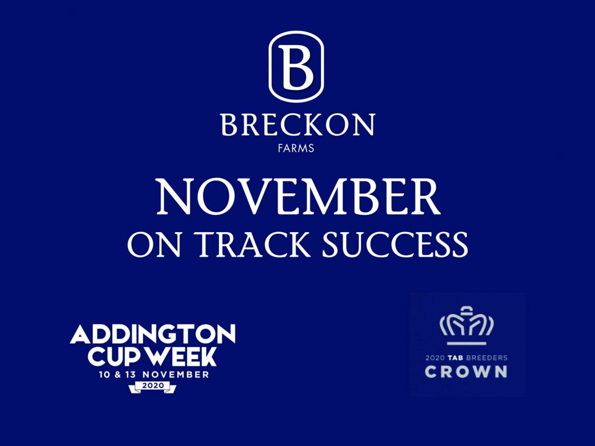 November On Track Success