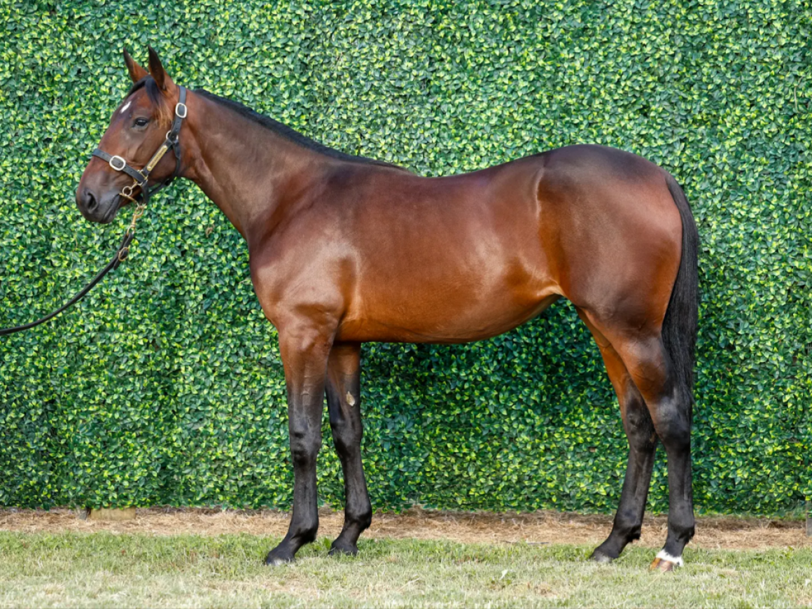 December Race Track Performances