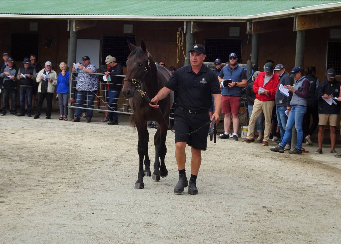 Under the shelter parading Lot 39 TWIST LIKE THIS (A Rocknroll Dance / Twist And Twirl)