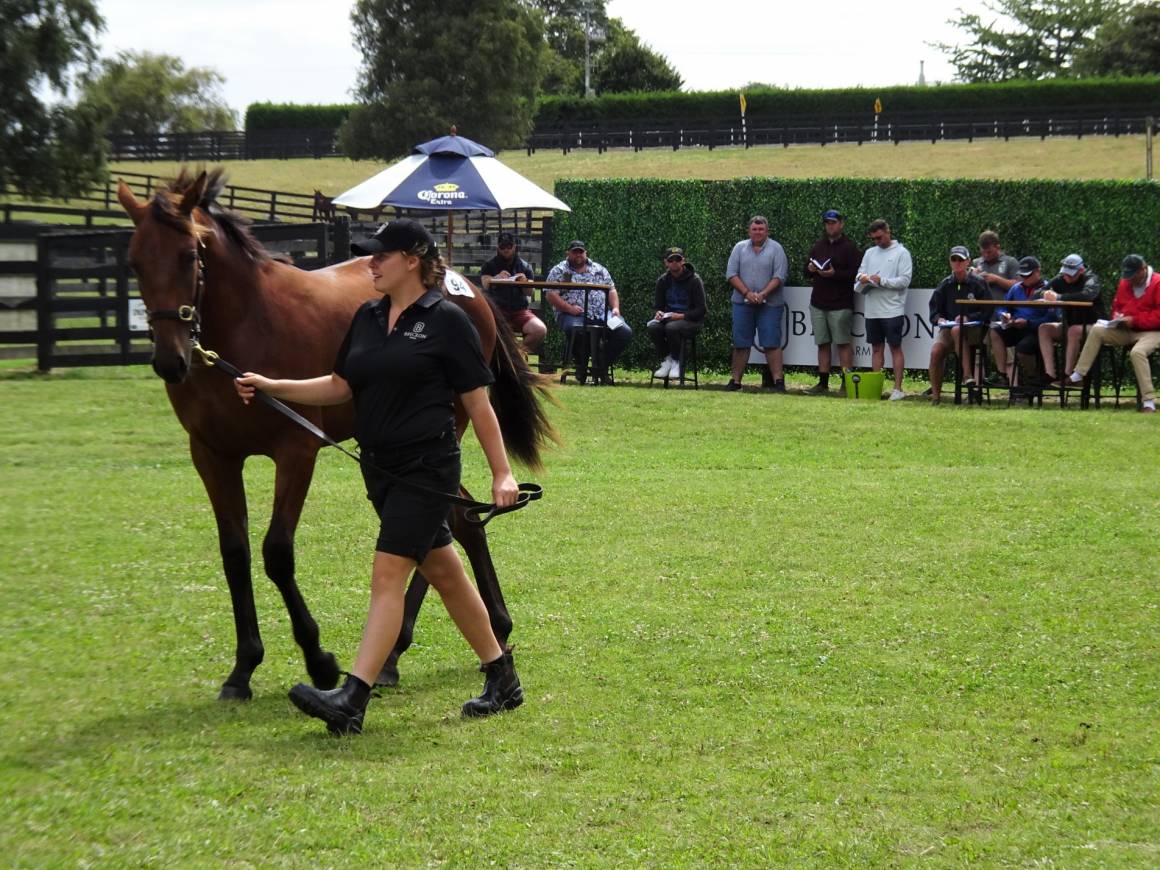 BRECKON FARMS PARADE OF YEARLINGS 2021