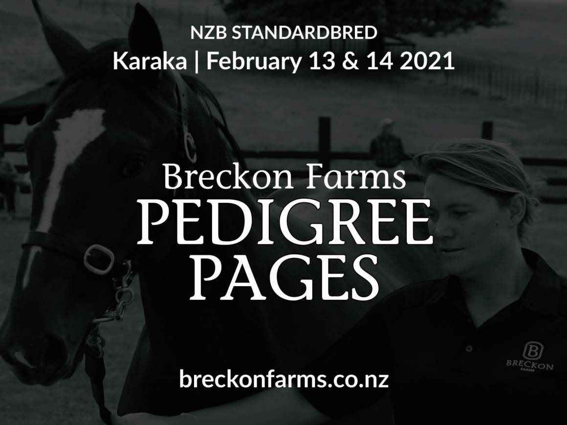 Sales 2021 - Breckon Pedigrees