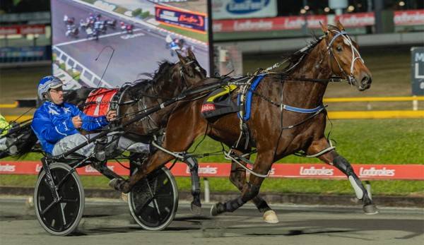 August Race Track Performances