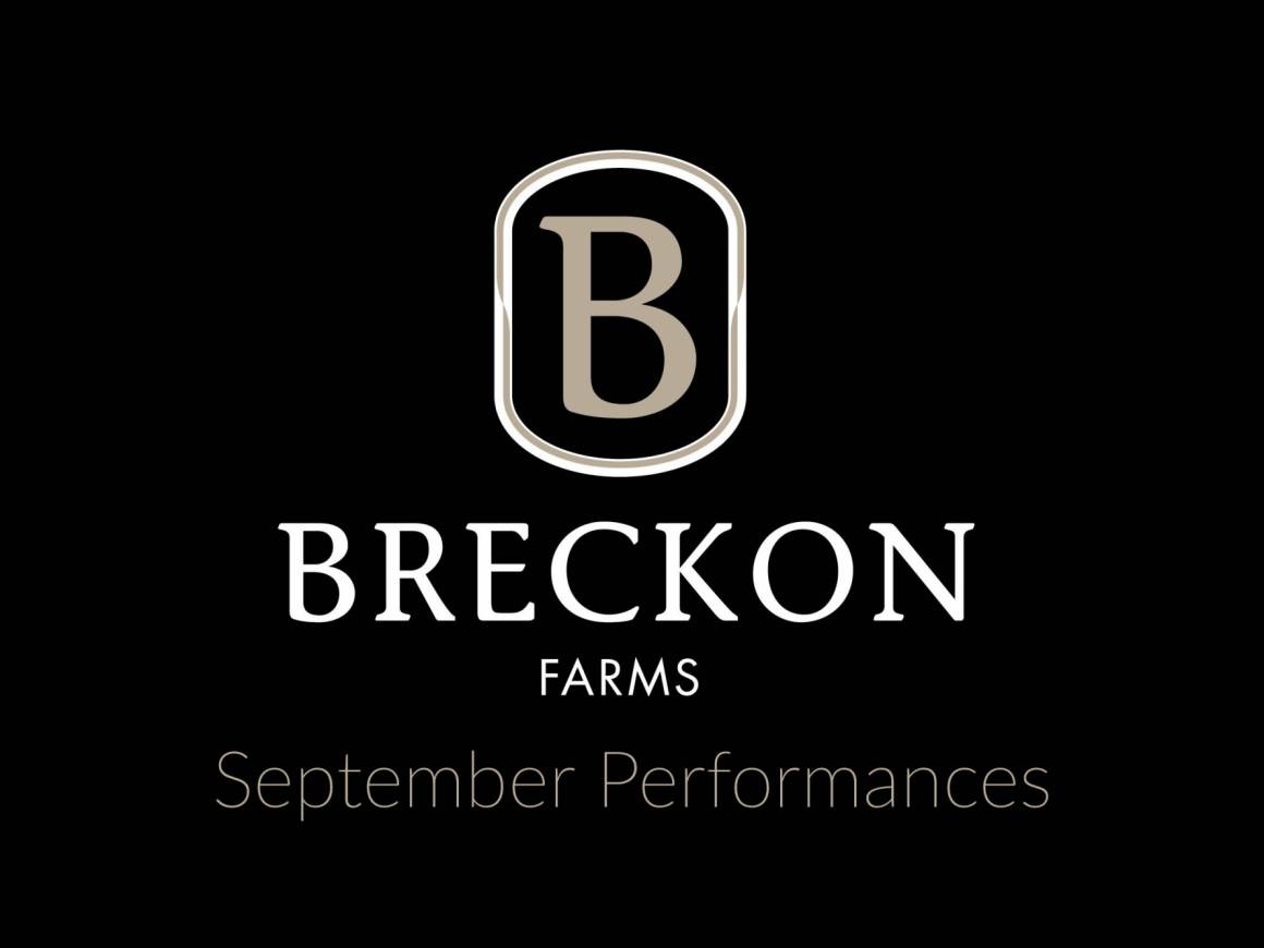 SEPTEMBER PERFORMANCES