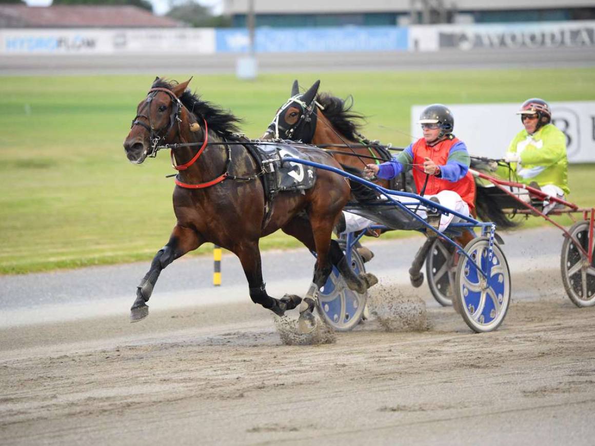 January Race Track Performances