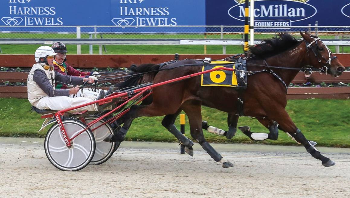 2019 HARNESS JEWELS WRAP – A Family Affair