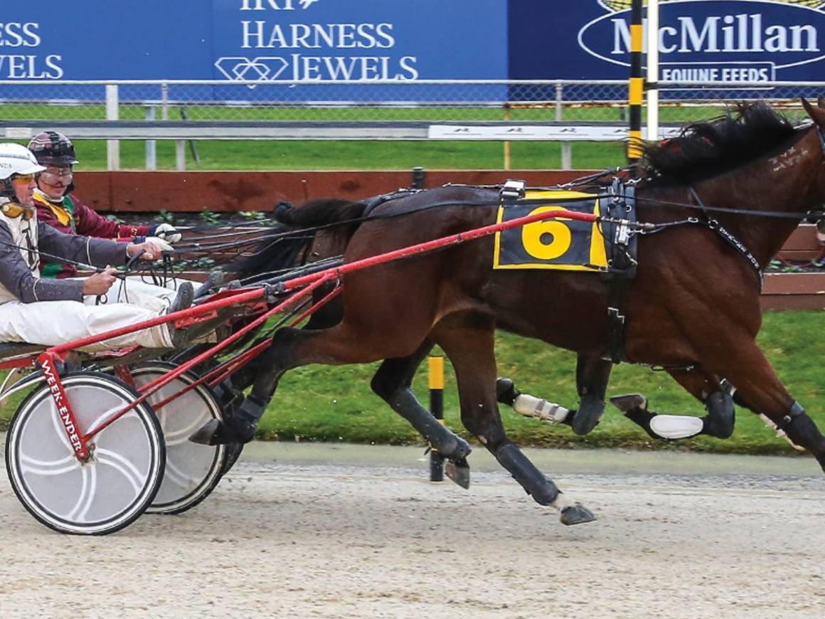 2019 HARNESS JEWELS WRAP – A Family Affair