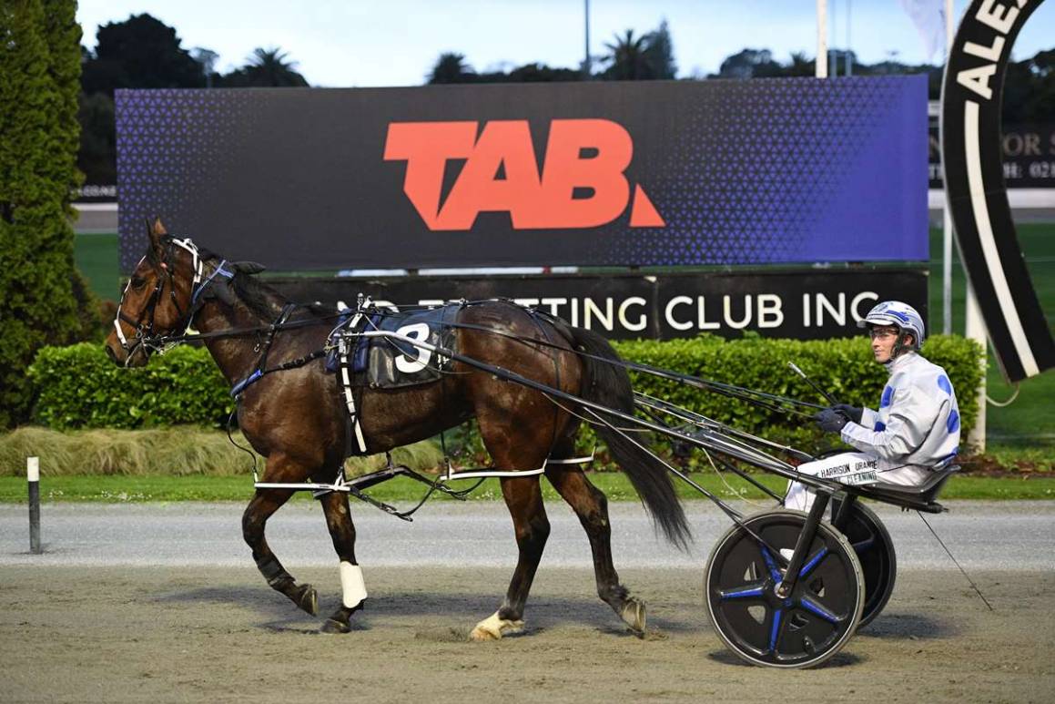 2YO Breckon Bred Winners Aplenty