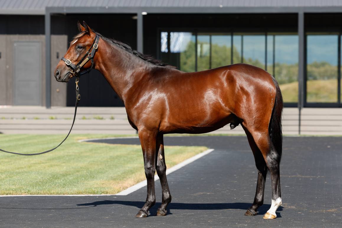 A Breckon Bred Yearling Could Still Be Yours!