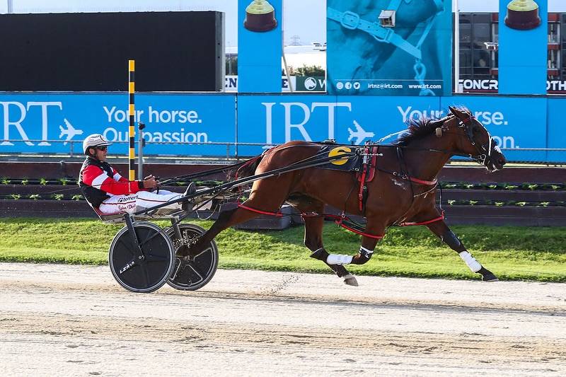 February Race Track Performances