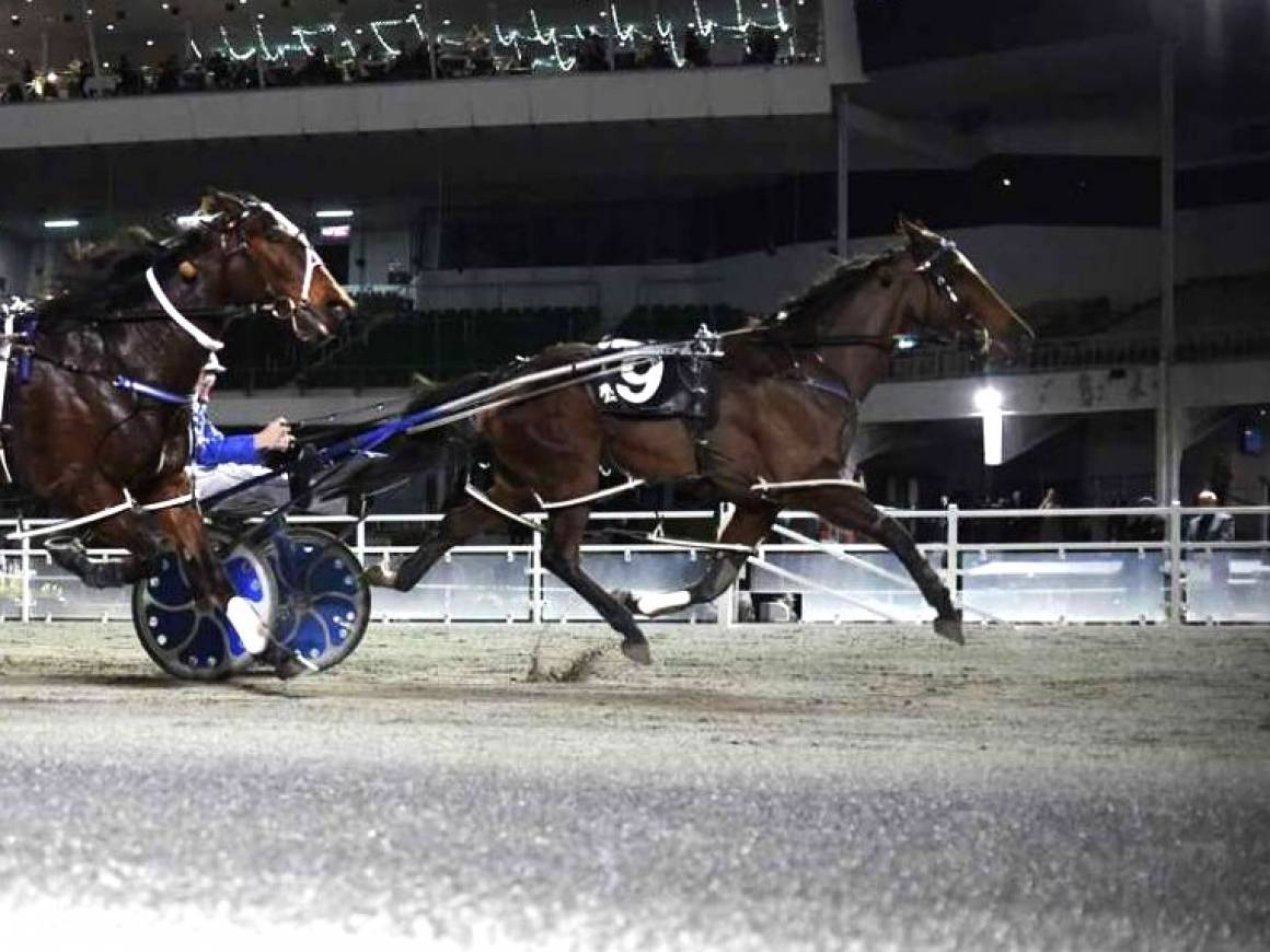 September Race Track Performances