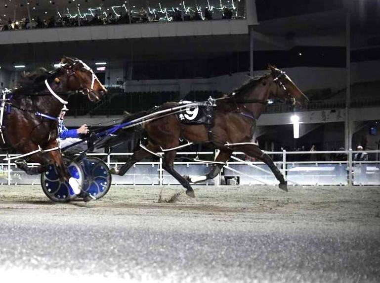 September Race Track Performances
