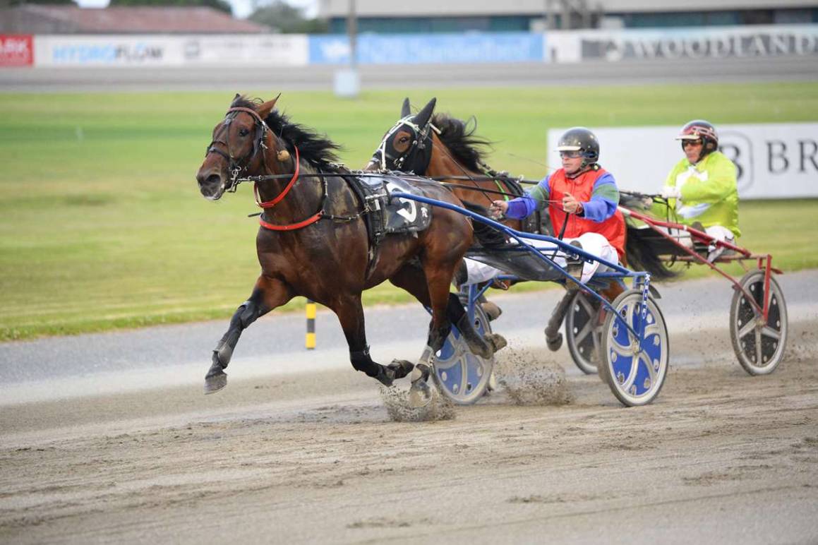 January Race Track Performances