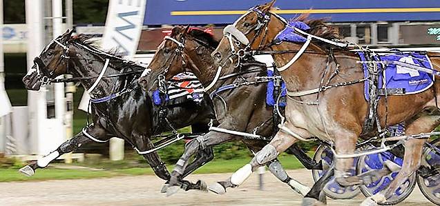 Racing Action 11/4